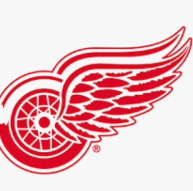 DETROIT - MINI FILLER FOR 25-26 BLACK DIAMOND PYT (Top 1 Gets the Spot ⬆️)